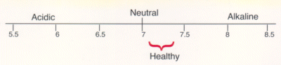 Scale with alkaline values. 5.5-6 means that your body is acidic, between 8 and 8.5 is alkaline and between 7 and 7.5 is healthy.